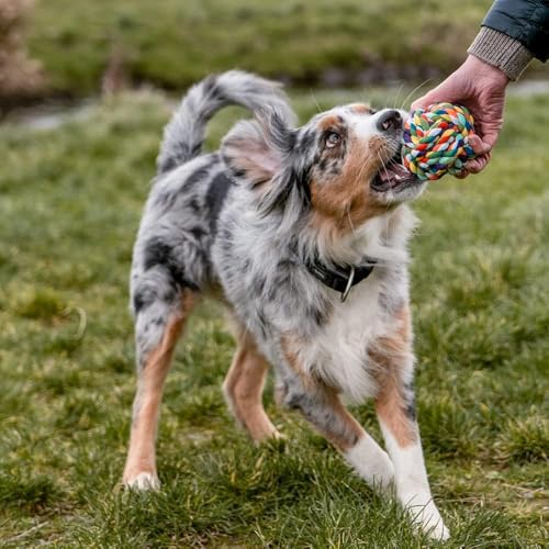 Agirav Dog and Puppy Toy Set - Chew, Teething, Rope, and Tug Toys for Small to Medium Dogs - Washable Cotton Rope for Dogs (Rope Ball) - Image 4