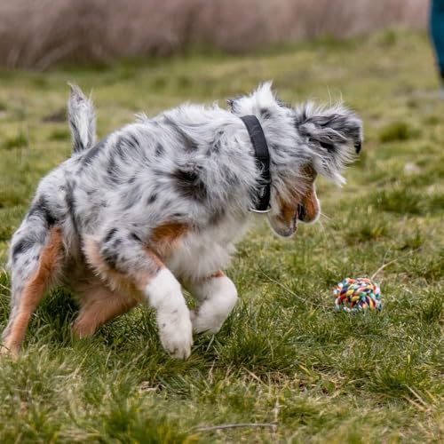 Agirav Dog and Puppy Toy Set - Chew, Teething, Rope, and Tug Toys for Small to Medium Dogs - Washable Cotton Rope for Dogs (Rope Ball) - Image 5