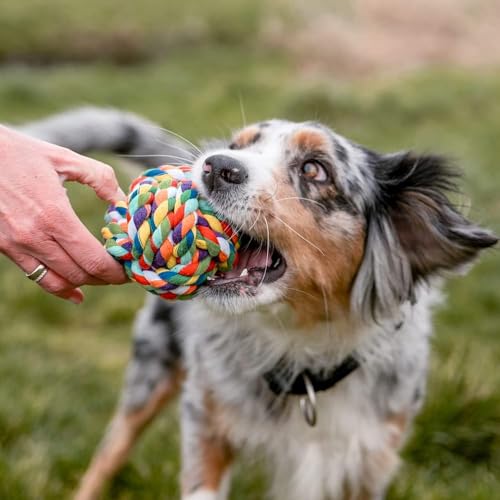 Agirav Dog and Puppy Toy Set - Chew, Teething, Rope, and Tug Toys for Small to Medium Dogs - Washable Cotton Rope for Dogs (Rope Ball) - Image 2