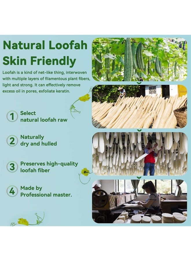 2 Packs Natural Loofah Exfoliating Back Scrubber & Exfoliating Sponge Pad Set for Shower (Large), Loofah Sponge Pads Bath Shower Scrubber for Women, Luffa Scrubber to Deep Clean - Image 2