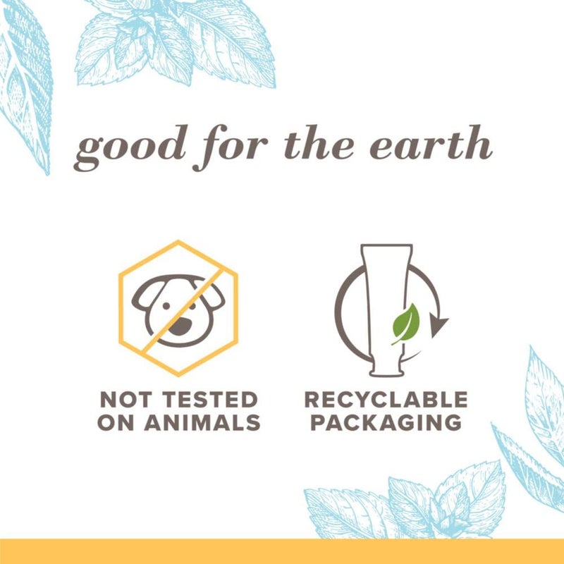Burt's Bees Burtâ€™s Bees Toothpaste with Fluoride, Extra White, Zen Peppermint, 4.7 oz (14) - Image 3