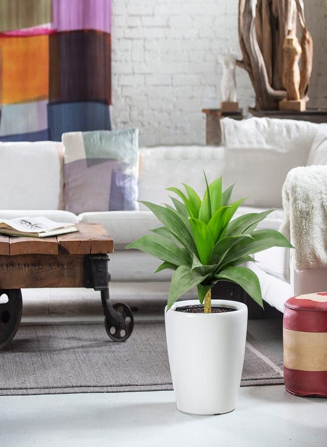 GnFlus نباتات الصبار العصارية الاصطناعية من جي إن فلوس، حجم كبير 24 بوصة، سيقان عصارية صناعية، نبات صناعي للمنزل والمكتب والحديقة والفناء، ديكور داخلي وخارجي - Image 4