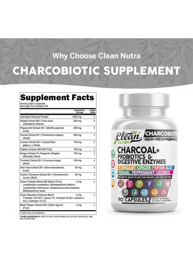 Clean Nutraceuticals Clean Nutra Activated Charcoal Capsules Shilajit 5000mg Pills Probiotic 200 Billion + Digestive Enzymes for Digestive Health with Peppermint Fennel Licorice Papain Ginger Turmeric | Gut Health - Image 3