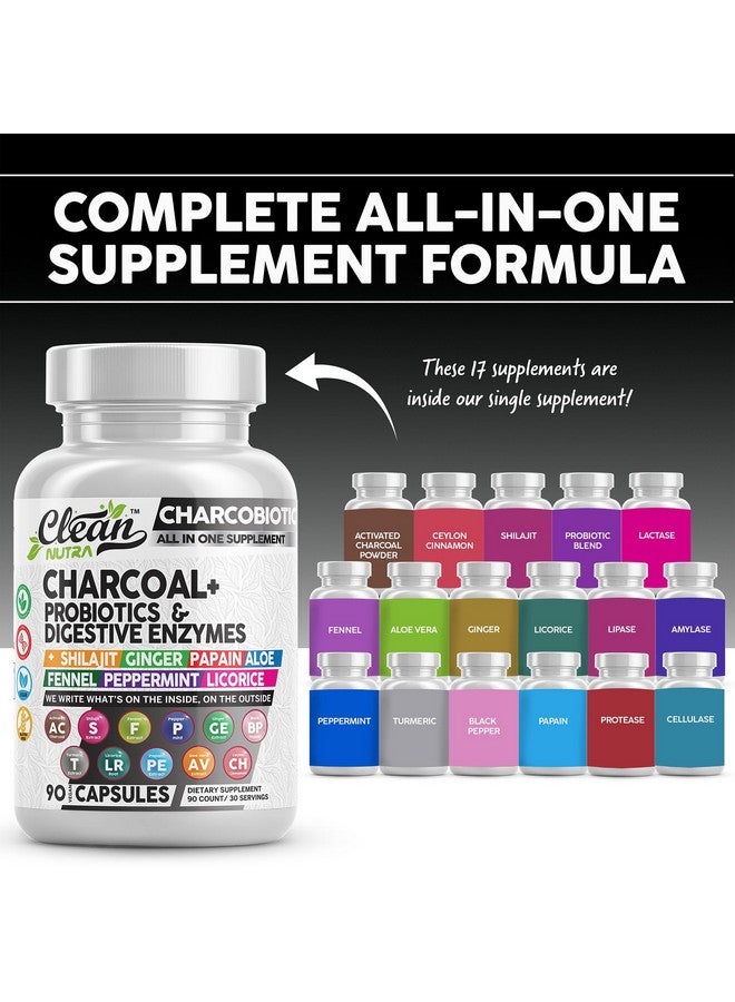 Clean Nutraceuticals Clean Nutra Activated Charcoal Capsules Shilajit 5000mg Pills Probiotic 200 Billion + Digestive Enzymes for Digestive Health with Peppermint Fennel Licorice Papain Ginger Turmeric | Gut Health - Image 2