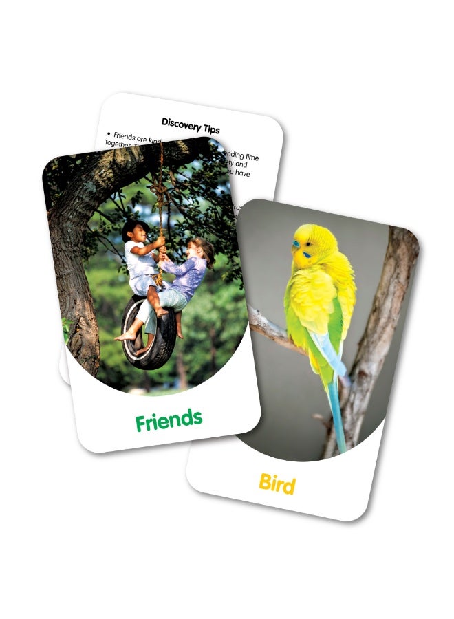 THE LEARNING JOURNEY DISCOVERY CARDS-IN & AROUND - Image 2