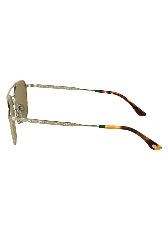 Modified Rectangle Sunglasses