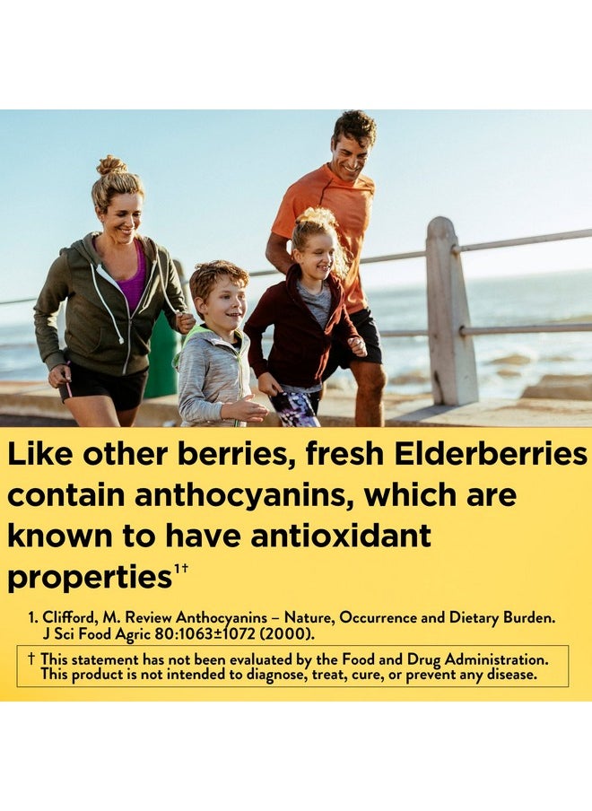 Nature Made Elderberry With Vitamin C And Zinc Dietary Supplement For Immune Support 60 Gummies 30 Day Supply  - Image 3
