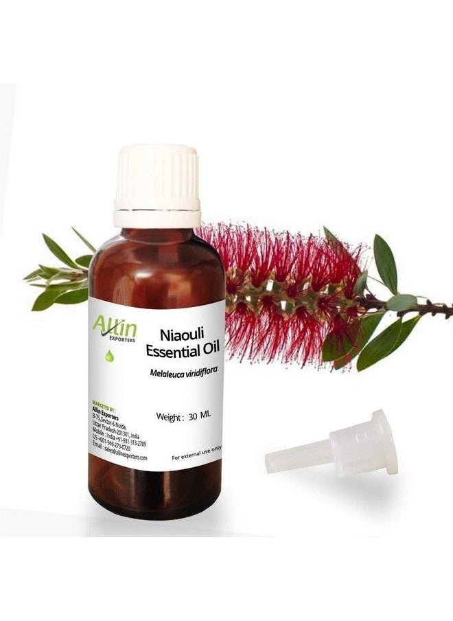 Allin Exporters Niaouli Essential Oil Pure Natural & Undiluted Therapeutic Grade For Skin Care & Aromatherapy (30 Ml)  - Image 2