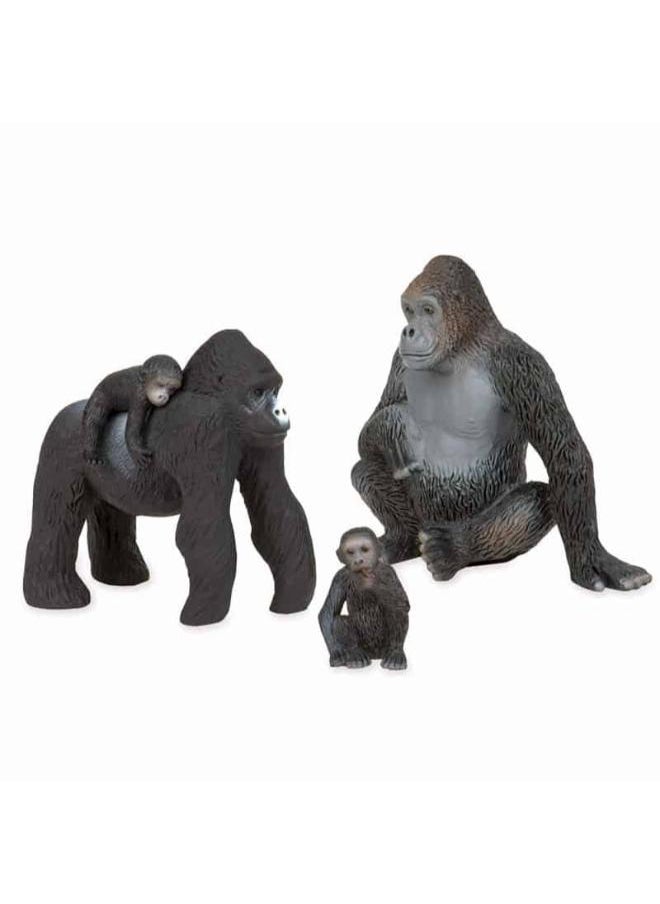 Terra GORILLA FAMILY  - Image 2