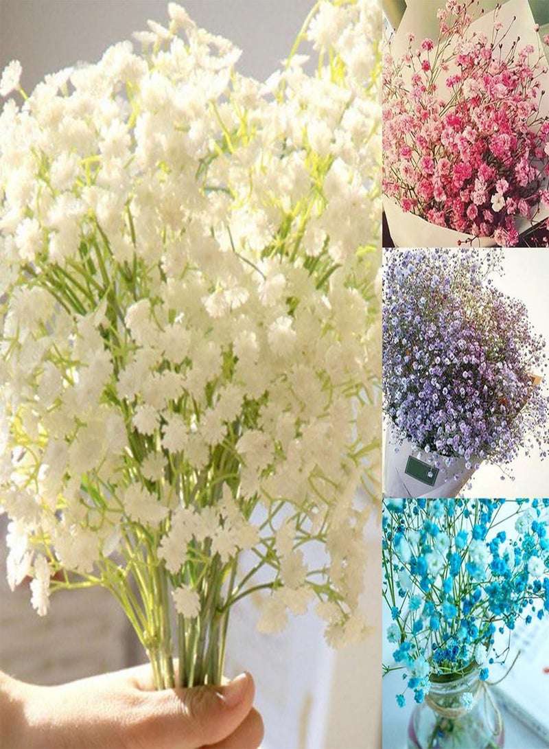 GGOOT 30Pcs Colorful Baby's Breath Gypsophila Seeds, Flower Garden Bonsai Plant Decor White - Image 2