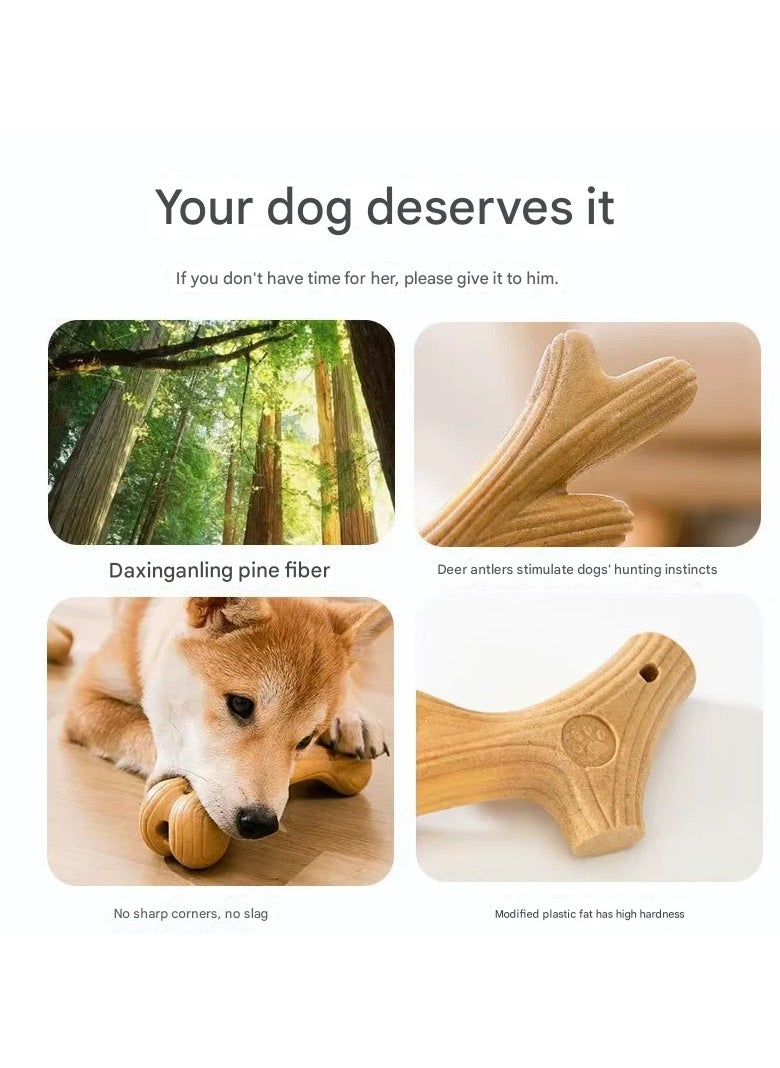 Antler - bone Dog Chew Sticks: Special Chew - resistant, Teeth - cleaning, Self - entertaining and Boredom - relieving Toys for Golden Retrievers, Border Collies and Other Large Dogs and Puppies