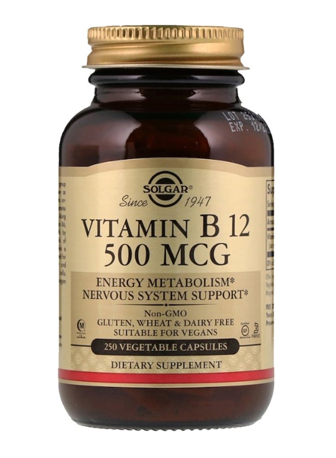 Solgar Vitamin B12 - 250 Capsules - Image 1