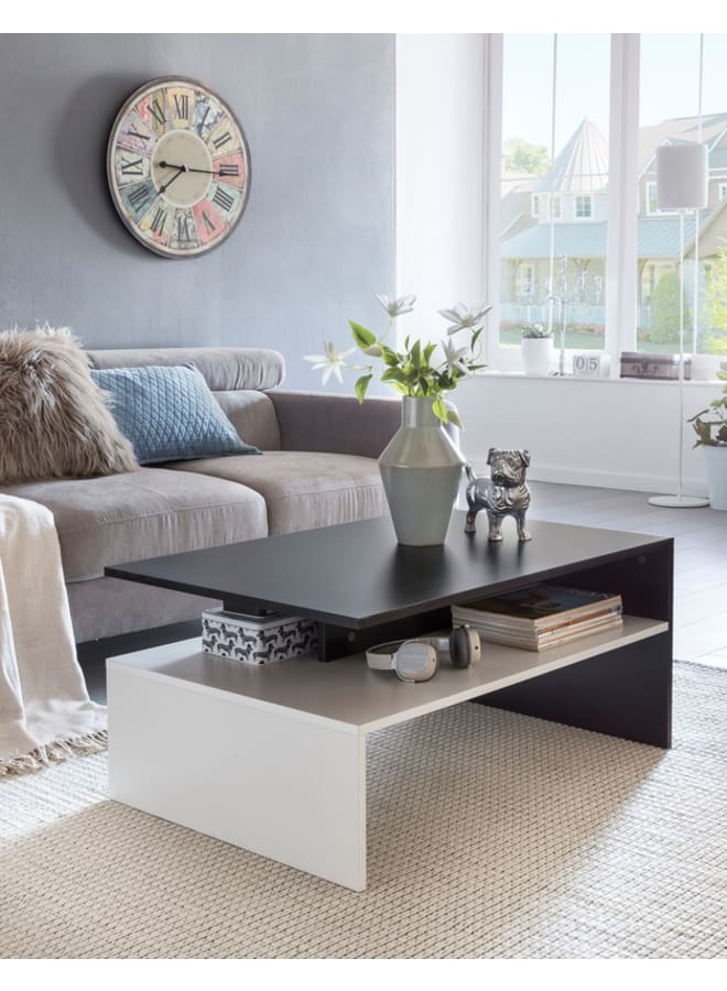 ريترو RA-T24 ترابيزة قهوة 100×50×45سم - أسود×أبيض - Image 1