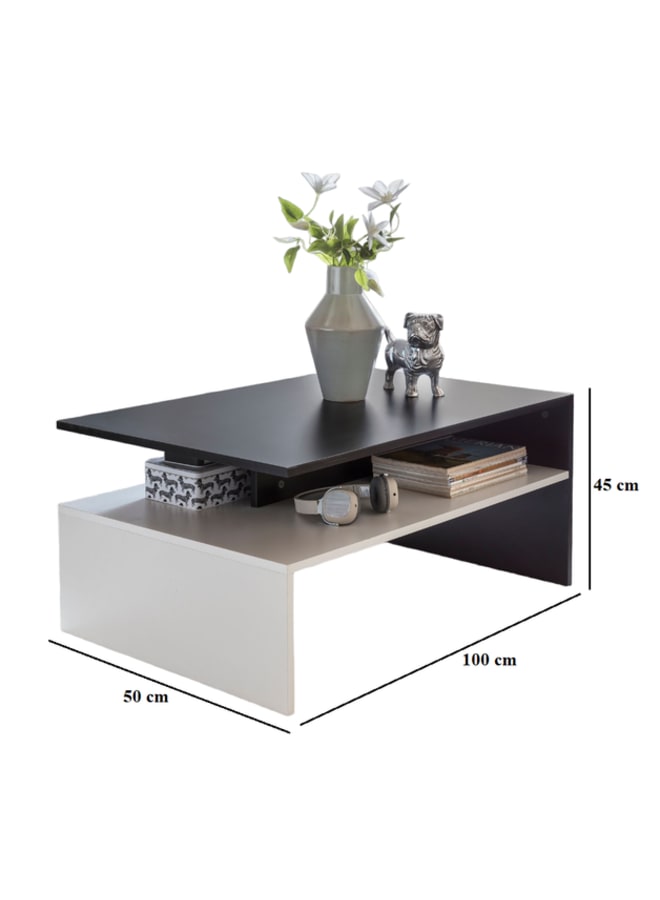 ريترو RA-T24 ترابيزة قهوة 100×50×45سم - أسود×أبيض - Image 2