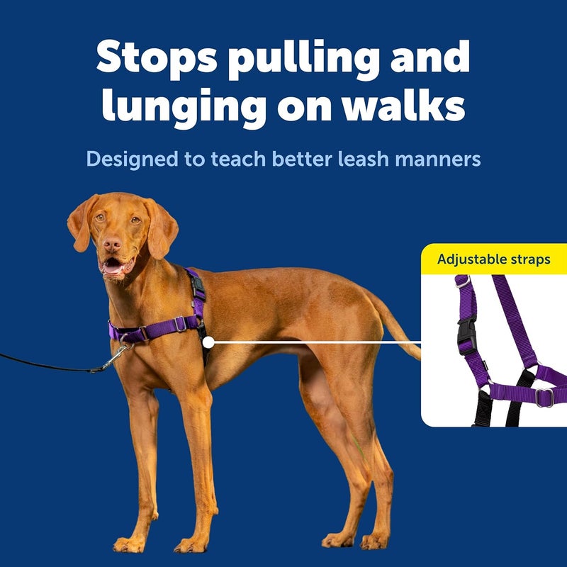 PetSafe Easy Walk No-Pull Dog Harness - Medium Size in Deep Purple/Black for Better Leash Manners - Image 4