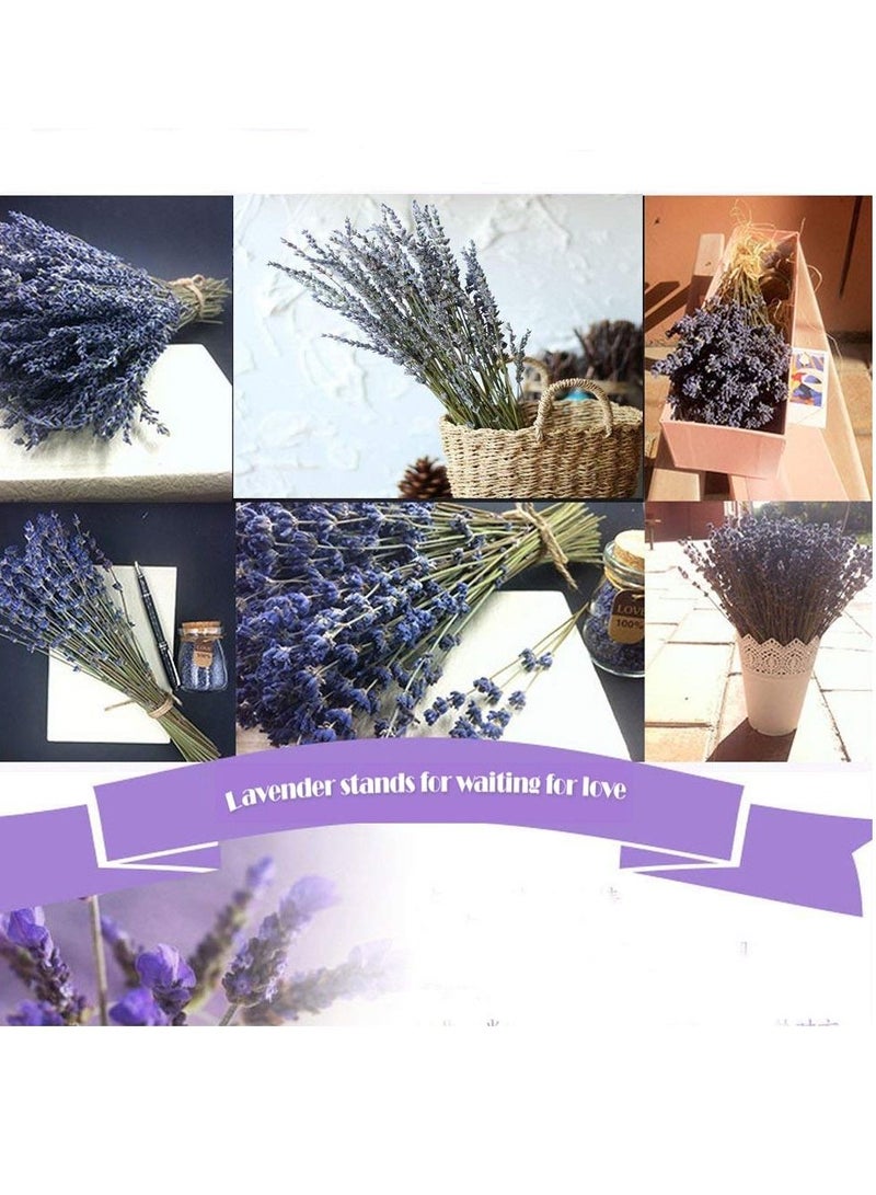 KASTWAVE Natural Dried Lavender Bouquet Decoration, 15.7 Inches Dried Flowers Bouquet for Wedding Home Office Table Kitchen Decoration (BluePurple) - Image 3