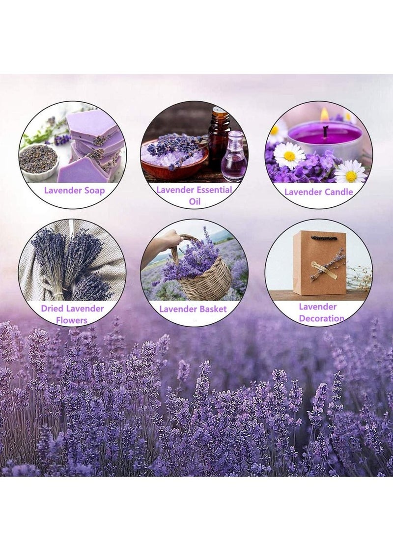 KASTWAVE Natural Dried Lavender Bouquet Decoration, 15.7 Inches Dried Flowers Bouquet for Wedding Home Office Table Kitchen Decoration (BluePurple) - Image 4