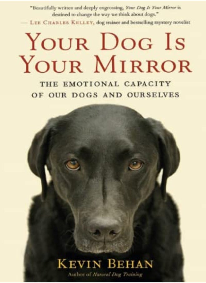 YOUR DOG IS YOUR MIRROR 