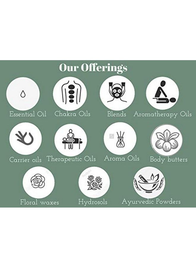 Greenwood Essential زيت البحر النبق النقي (هيبوفاي رهمنويدس) مع قطارة زجاجية 100% l درجة علاجية للشعر والعناية 15 مل (0.50 أونصة) - Image 5