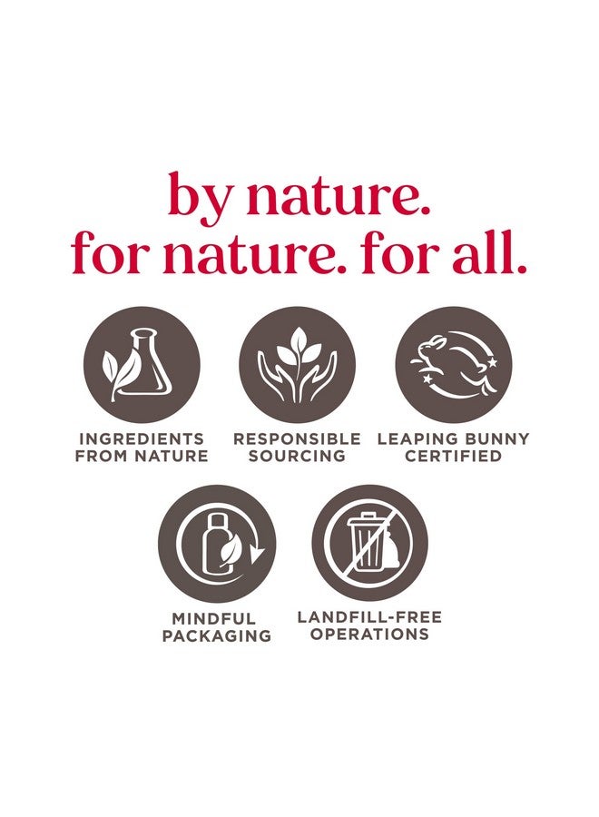 بيرتس بيز قناع الوجه الورقي بالفحم لإزالة السموم من بيرتس بيز، قناع وجه للاستخدام مرة واحدة، عبوة واحدة (قد تختلف العبوة) - Image 4