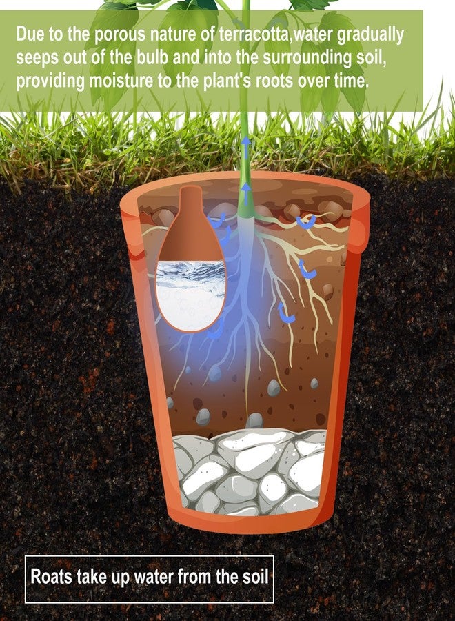 Blushtier 2 Pcs Watering Pot Terracotta Water Dripper 34 oz Automatic Plant Waterer Watering System Self Watering Terra Cotta Irrigation Pots Plant Watering Devices for Indoor Outdoor Plants - Image 5