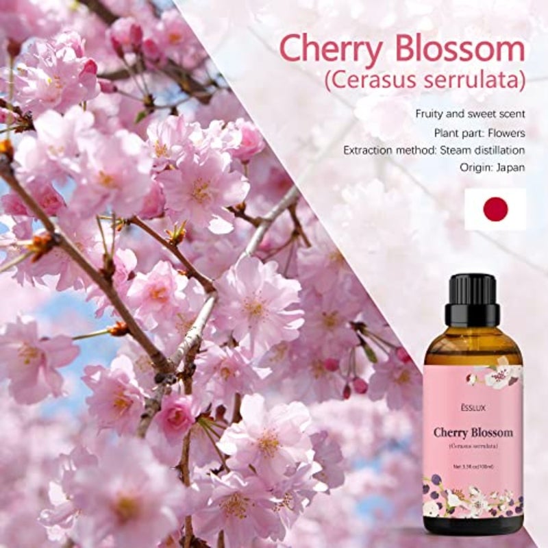 زيت زهر الكرز العطري 100 مل 3.3 أونصة سائلة، زيوت عطرية عطرية زهرية كبيرة الحجم للناشر والتدليك والصابون وصناعة الشموع والعطور والغسيل - Image 2