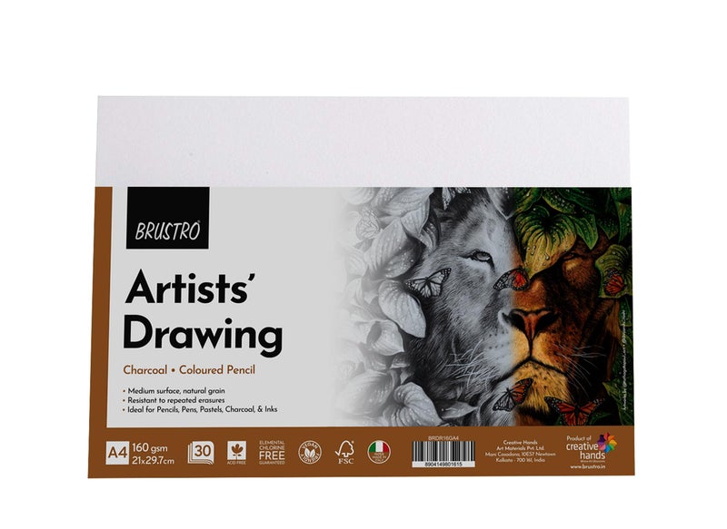 BRUSTRO Artist's Drawing Papers | 160 GSM, A4, Pack of 30 Sheets | Ideal for Students,Adults, Coloring, Art, Craft, Natural Grain, Graphite, Charcoal, Pastels, Sketching, Shading, Drawing and Portrait - Image 4