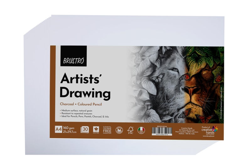 BRUSTRO Artist's Drawing Papers | 160 GSM, A4, Pack of 30 Sheets | Ideal for Students,Adults, Coloring, Art, Craft, Natural Grain, Graphite, Charcoal, Pastels, Sketching, Shading, Drawing and Portrait - Image 2