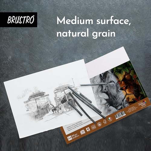 BRUSTRO Artist's Drawing Papers | 160 GSM, A4, Pack of 30 Sheets | Ideal for Students,Adults, Coloring, Art, Craft, Natural Grain, Graphite, Charcoal, Pastels, Sketching, Shading, Drawing and Portrait - Image 3