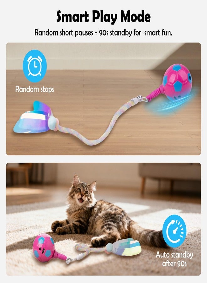 all for paws Interactive Cat Toy Ball for Indoor Cat, Automatic Rolling Ball with Elastic Mesh Tail for Bored Adult Cats - Image 5