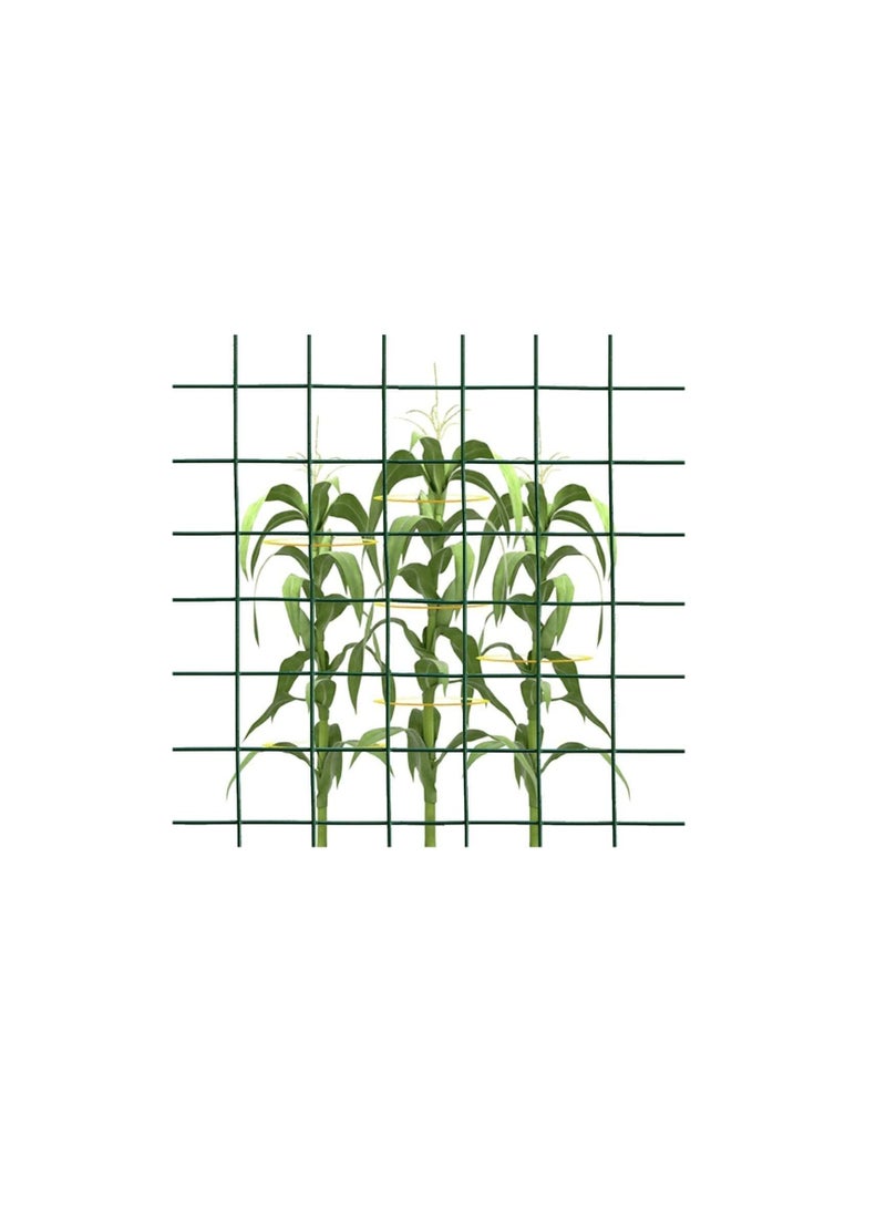 ROBUSTLINE Robustline Wire Mesh Fencing, Galvanized PVC Coated Garden Fencing, Green Steel Nets for Farming Fence, Plant Chicken Wire Fence and Animals Hen-houses Small (3.67 Mtr ) (3/4" X 4FT X 12FT X 19MM)  - Image 2