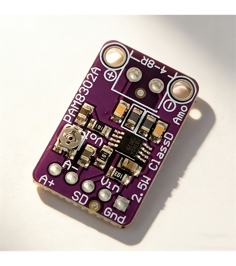Purple Single Channel D Level Audio Amplifier Module Development Board Gifts - Image 1