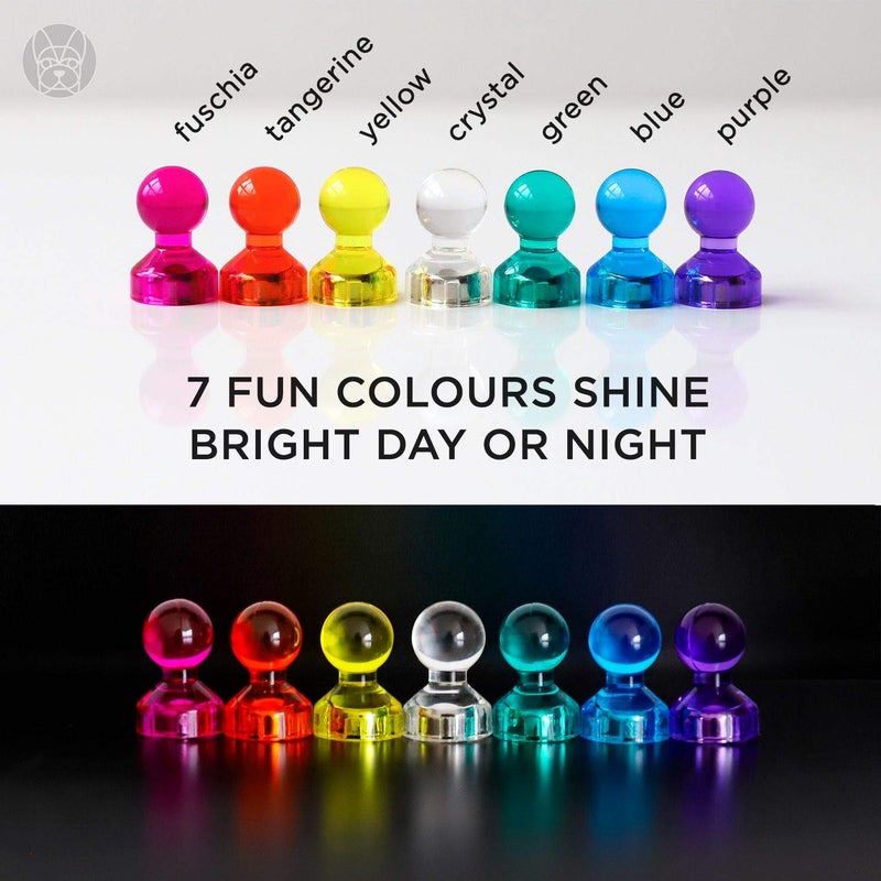 Bolder Life Super Strong Push Pin Magnets 56 pcs Small Magnets for Office Whiteboard Refrigerator Maps Photos Classroom - Image 3