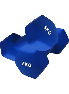 DAYONG Dumbbell Weights Set-5 Kg*2, Hexagonal Non Slip Grip Dumbbells for Men Women, Fitness Equipment for Home Gym, Strength Training - pzsku/Z2D19EAD051E586DE3FEAZ/45/_/1739275544/ead5a721-85b7-4722-8927-f2ca9754923a