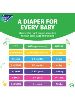 Diapers Size 6  16+ kg Junior - pzsku/Z2D1A9841EA22D4633500Z/45/_/1737702935/a07aec49-719d-4c59-af32-503838633942