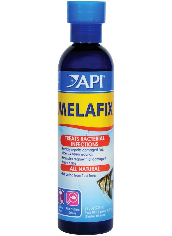 API API Melafix 8OZ Blue  - Image 1