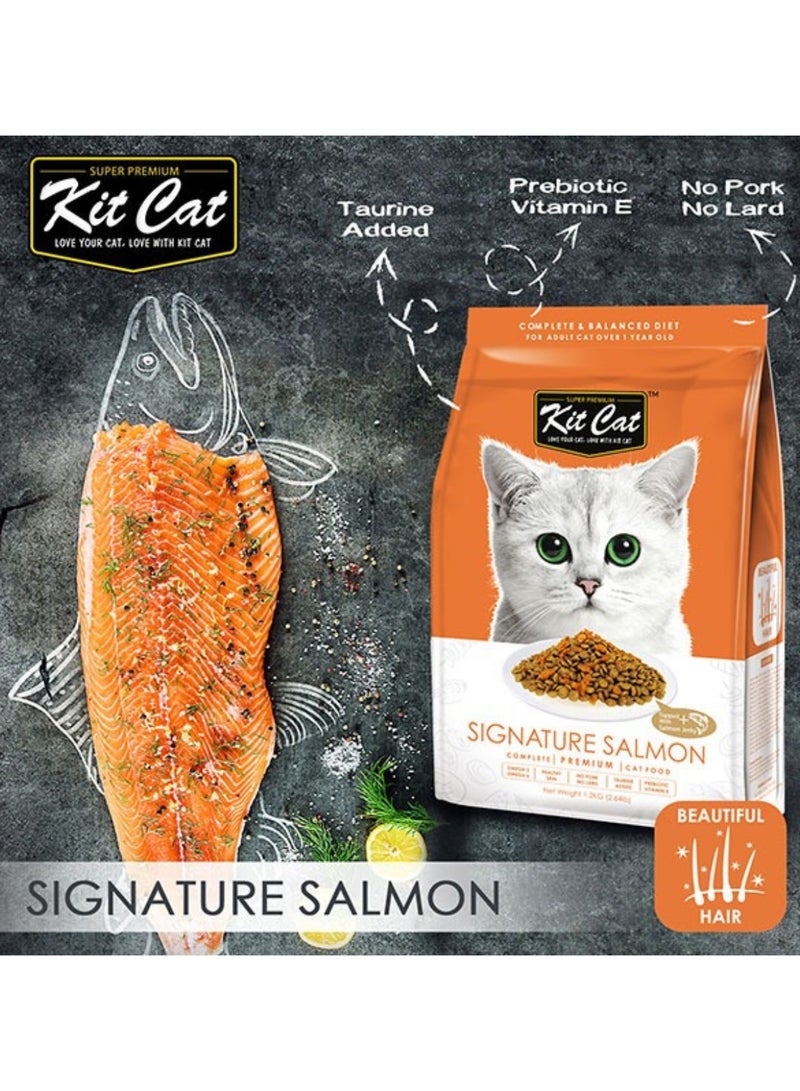 Kit Cat Cat Food Dry For Adult Cats Salmon Flavor - 1.2kg -  Cat Dry Food Complete Nutrition with Omega And Taurine - Supports Skin & Digestive Health - High-Quality Dry Food for Adult Cats - Image 3