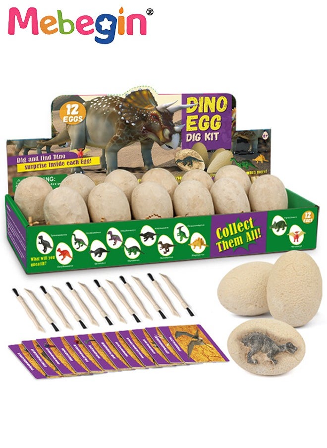 MEBEGIN - Dino Egg Dig Kit Dinosaur Toys for Kids 12 Pcs Dinosaur Eggs Excavation Kit for Kids Ages 6+ Years, Archaeology Science Paleontology Educational Party Gifts for Boys Girls - Image 1