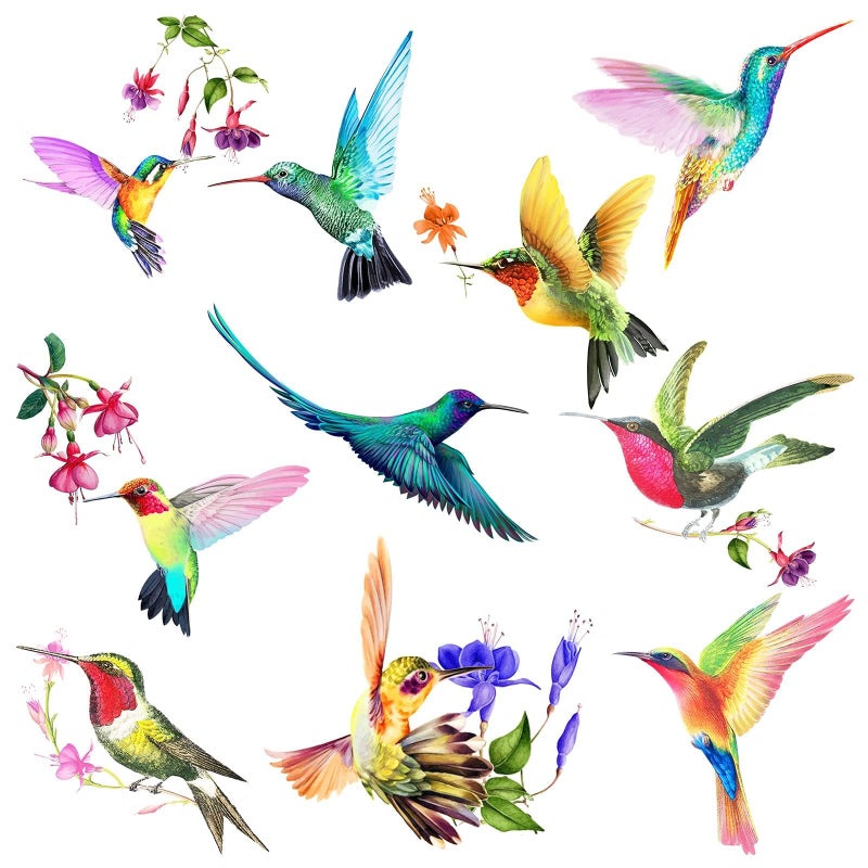 20 Pieces Large Size Hummingbird Window Hummingbird Decals for Windows AntiCollision Window Clings Decals to Prevent Bird Strikes on Glass Non Adhesive Vinyl Cling Stickers