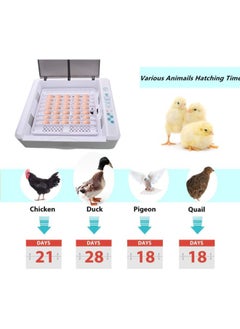 36 Eggs Incubator Fully Automatic Digital Poultry Hatching Machine, Temperature Control & Humidity Control & Automatic Egg Turner,Clear Hatching for Chicken, Ducks, Geese, Pigeons Eggs