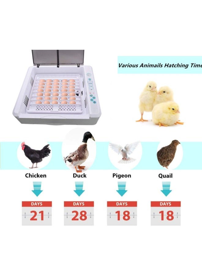 silvercnc - 36 Eggs Incubator Fully Automatic Digital Poultry Hatching Machine, Temperature Control & Humidity Control & Automatic Egg Turner,Clear Hatching for Chicken, Ducks, Geese, Pigeons Eggs - Image 1