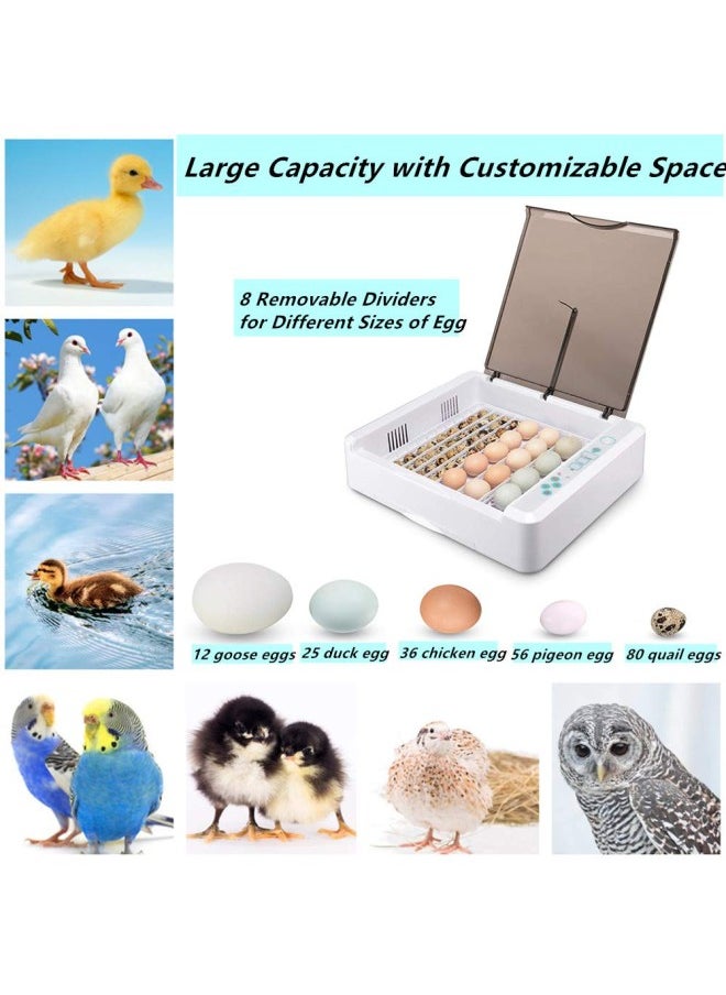 silvercnc - 36 Eggs Incubator Fully Automatic Digital Poultry Hatching Machine, Temperature Control & Humidity Control & Automatic Egg Turner,Clear Hatching for Chicken, Ducks, Geese, Pigeons Eggs - Image 1