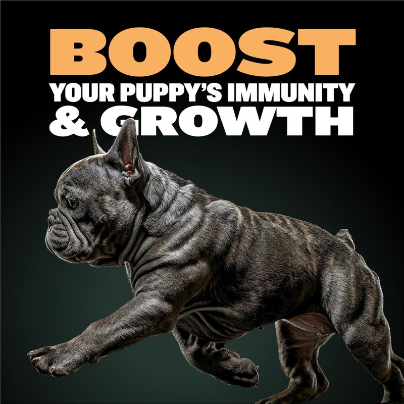 Bully Max Wet Puppy Food - Instant Fresh Dehydrated High Protein Soft Dog Food with Chicken - Healthy Growth for Small & Large Breed Puppies - 6 Dry Dog Food Pounds (Makes 16.5 lbs. of Wet Food) - Image 4