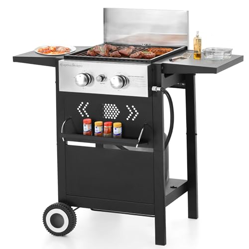 Sophia & William 2-Burner Gas BBQ Grill With Flat Top, Small Outdoor Propane Barbecue Grill with Side Shelves,Lid and Hose & Regulator for Camping, 20,000 BTU,Black - Image 1