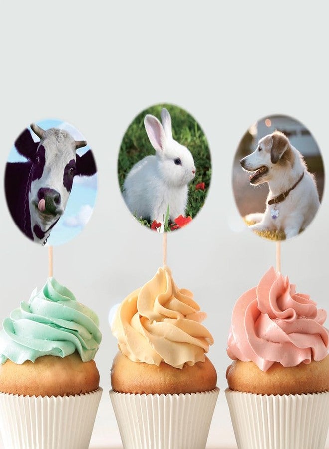 Hohamn Farm Animal Stickers Roll for Kids 600Pcs Round Farm Animals Label Stickers for Boys Girls Birthday Party Favors Gifts Decoration Teachers Student Classroom Reward 1.5 Inch - Image 4