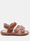 شو اكسبرس Brown