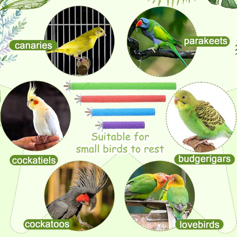 Gtziqa 4 Pcs Parrot Perches, Wood Bird Cage Perch Stand Pet Toy Paw Grinding Stick Bird Platform Cage Accessories for Small Medium Birds Like Budgies Parakeet Cockatiel Conure Lovebird Canary (Color Random) - Image 5