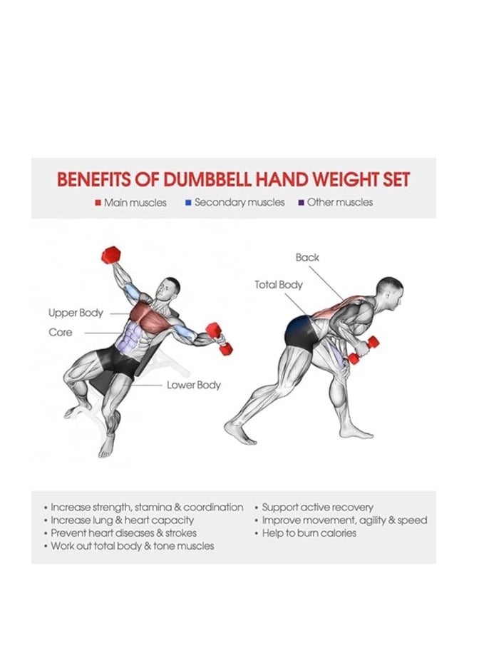 في سبورت دمبل حديد مطلي بالفينيل بوزن 2 كجم ، مجموعه من قطعتين ، من في سبورت - Image 5