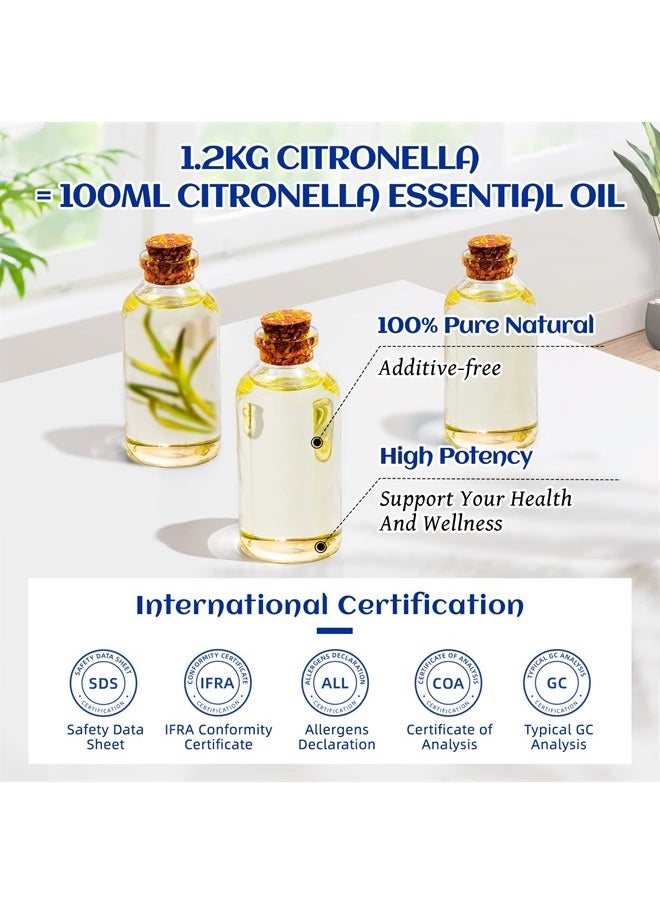 HIQILI - Citronella Essential Oil,100% Pure Undiluted Premium Therapeutic Grade,for Diffuser,Candles Making Outdoor Mosquitoes Spray - 3.38 Fl Oz. - Image 1