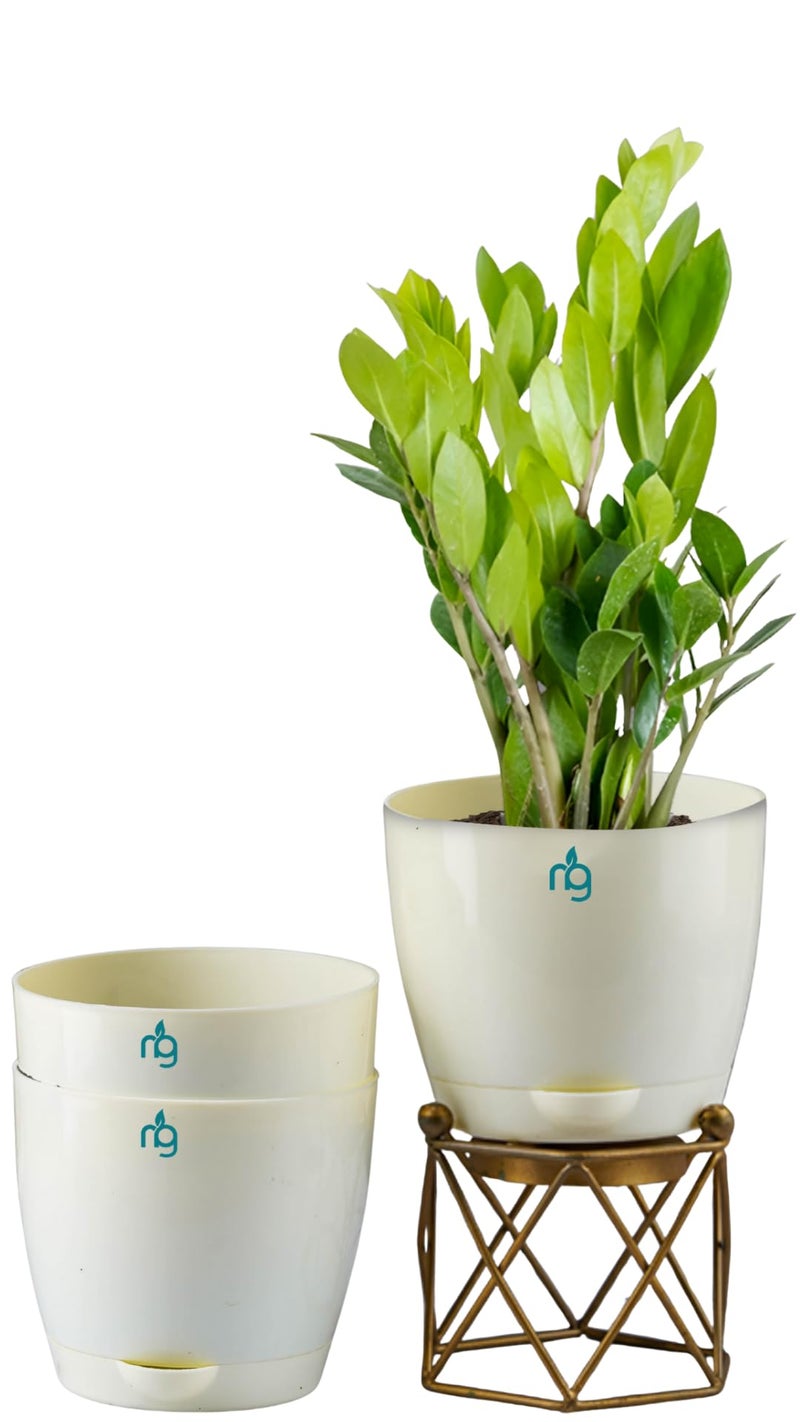 Nurturing Green® Combo of 3 Self Watering Flower Pots for Living Room & Home Decor | Plastic Plant Pots for Indoor, Balcony & Garden (Color: Ivory, Size: 14cm x 12.5cm Each) - Image 1